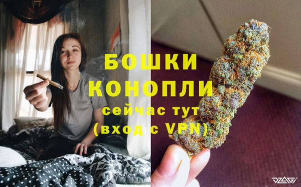 шишки Вязьма