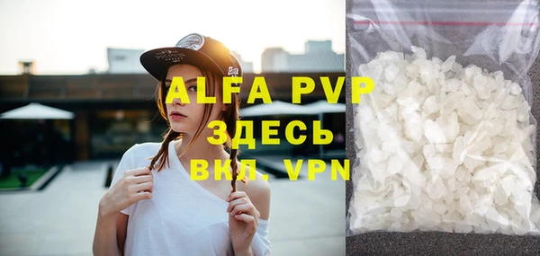 хмурый Дмитров