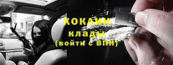 хмурый Дмитров