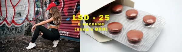 хмурый Дмитров