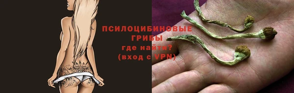 альфа пвп Горно-Алтайск