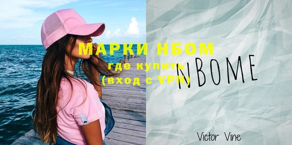 хмурый Дмитров
