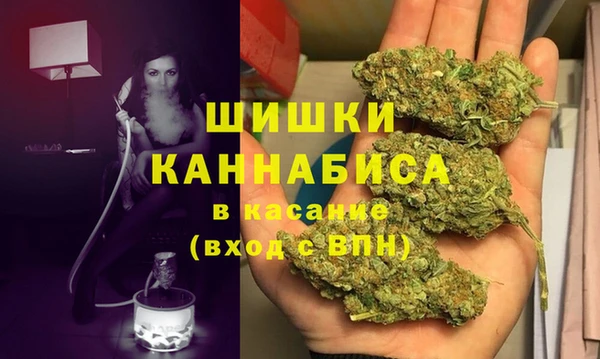хмурый Дмитров