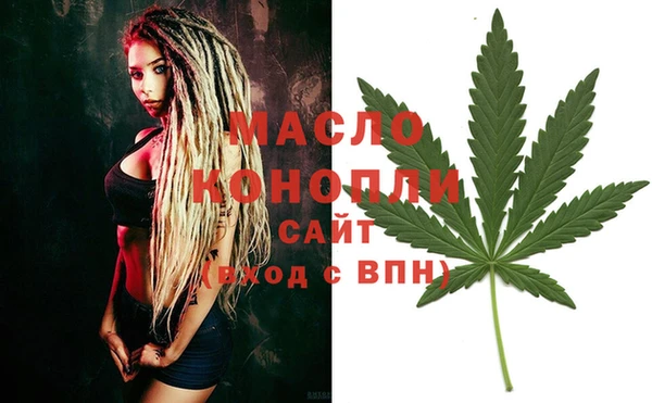 хмурый Дмитров